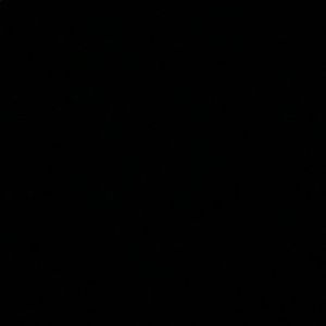 Meet your Posher, Izeal